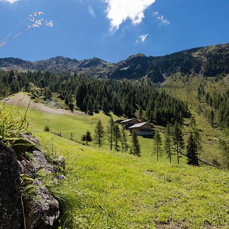Feldererhof Apt Almenblick Santa Maddalena in Val Casies Esterno foto