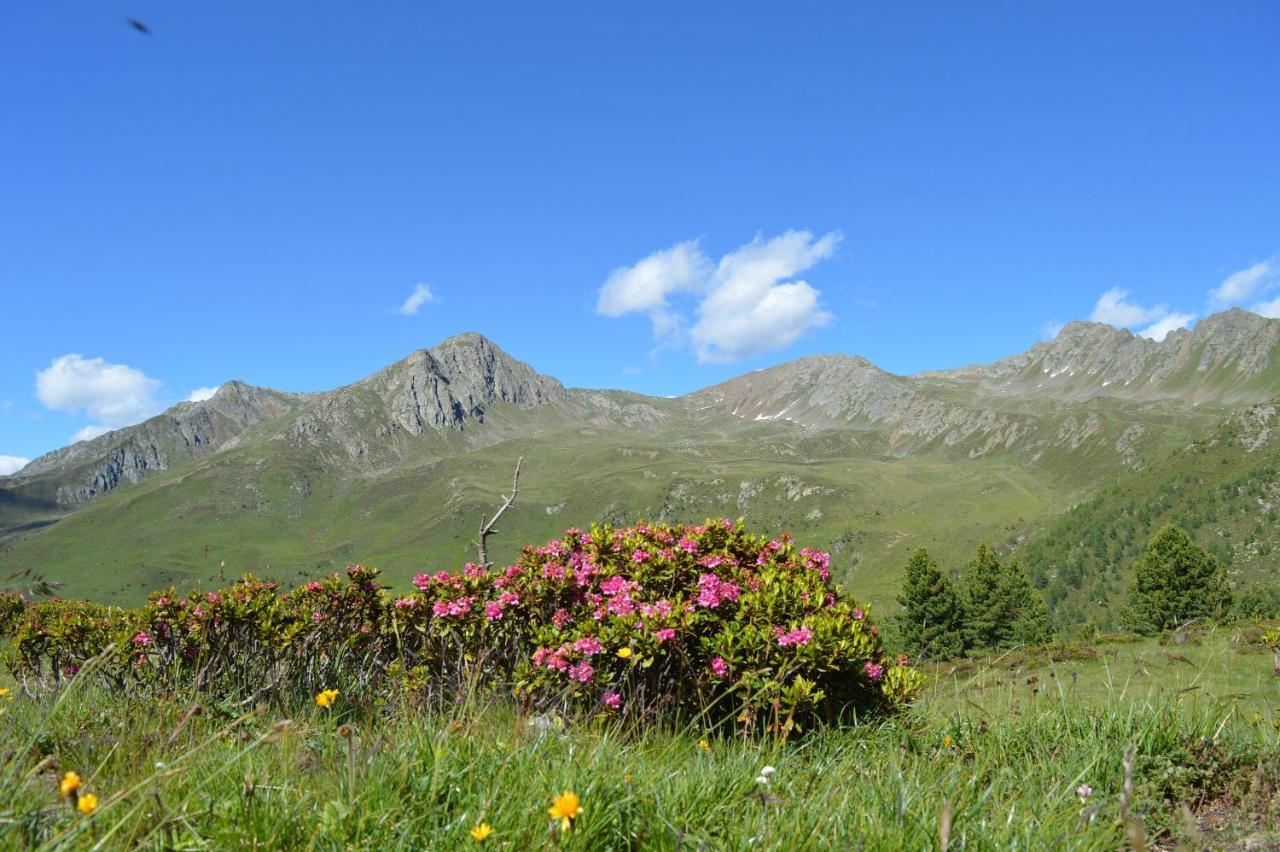 Feldererhof Apt Almenblick Santa Maddalena in Val Casies Esterno foto