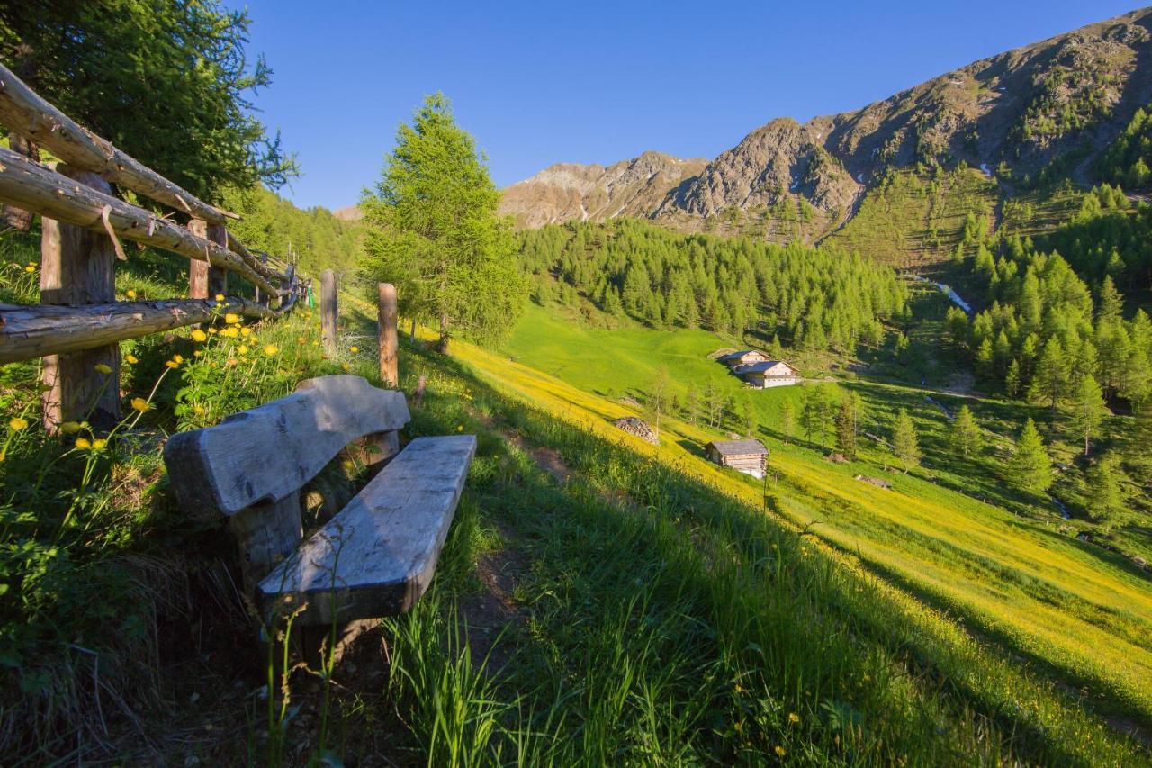 Feldererhof Apt Almenblick Santa Maddalena in Val Casies Esterno foto